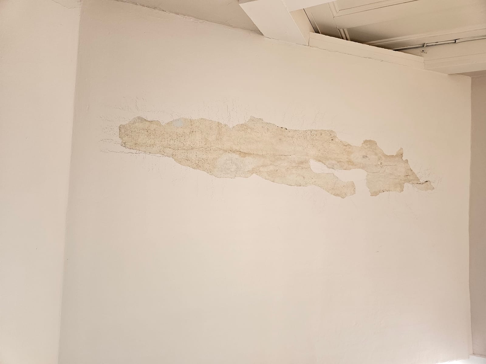 Wall and ceiling water damage assessment